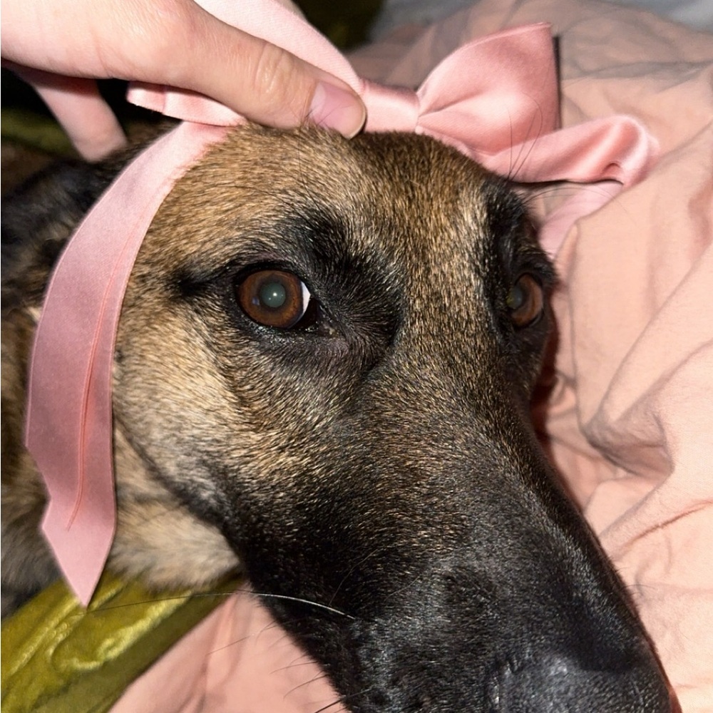 Meet your Posher, Liv